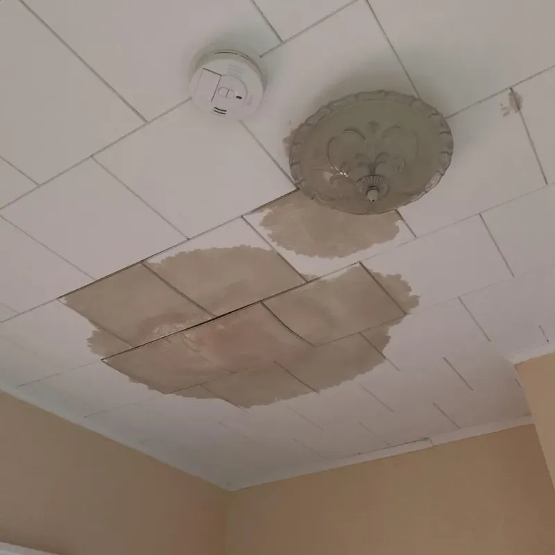 Ceiling Water Damage Repair in Falls City, NE