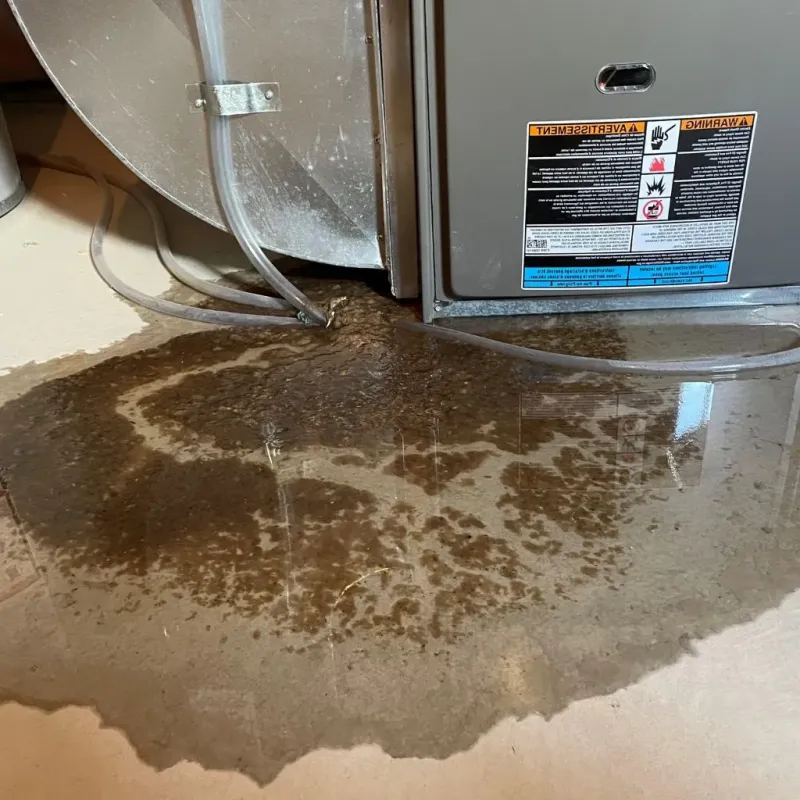 Pipe Burst and Leak Restoration in Falls City, NE