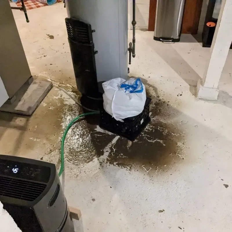 Sewage Backup Cleanup Service in Falls City, NE